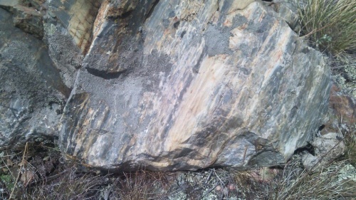 Гигантские зелёные валуны для ландшафтного дизайна весом более 5 тонн купить в Люберцах