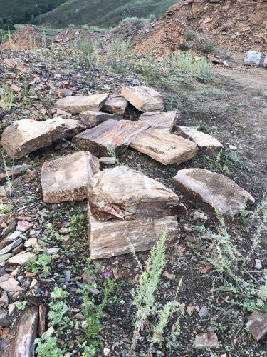 Плитняк кора дерева 50-100мм для пошаговых дорожек купить в Люберцах